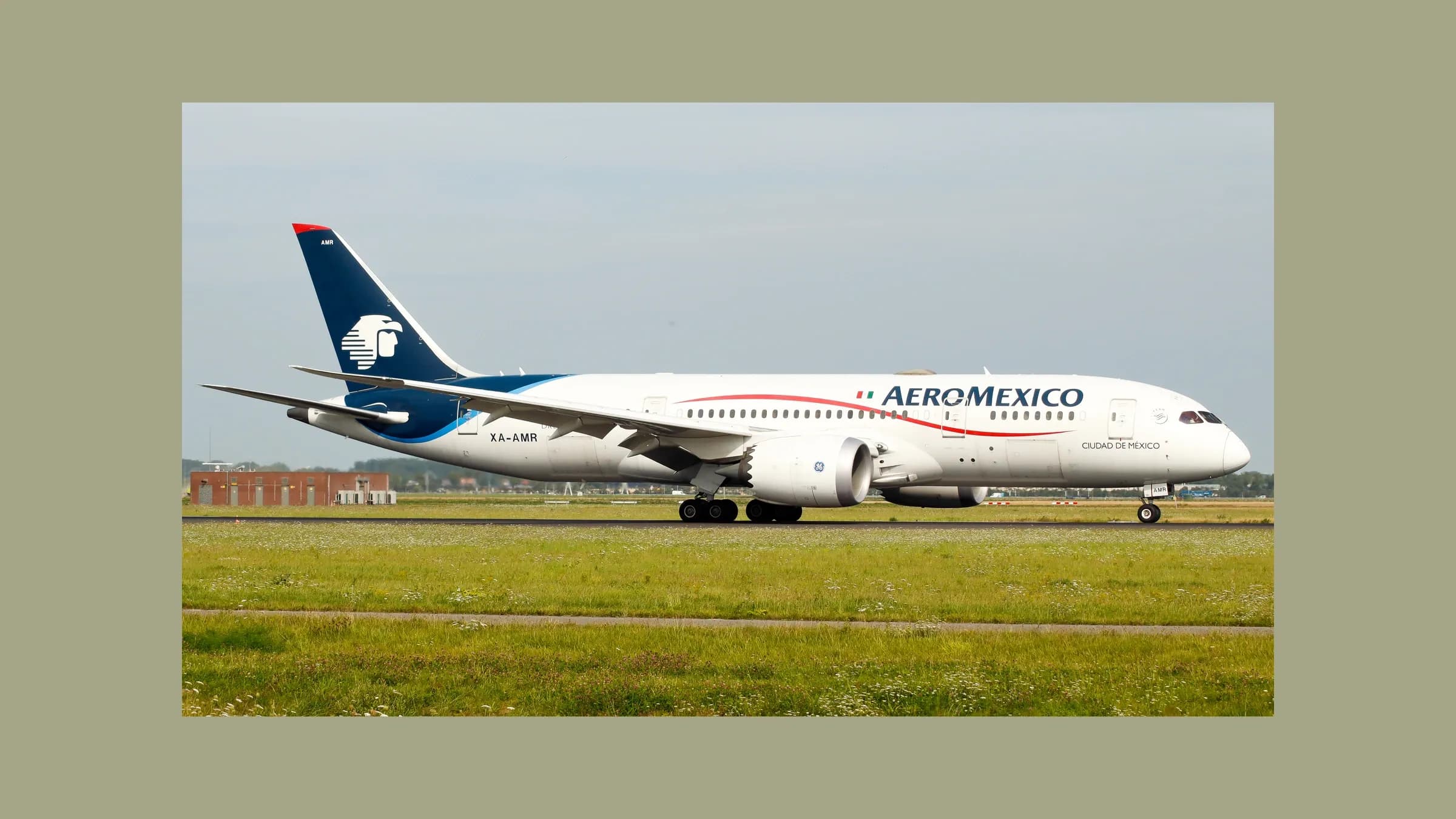 Aeroméxico Boeing 787 XA-AMR landing at Amsterdam.