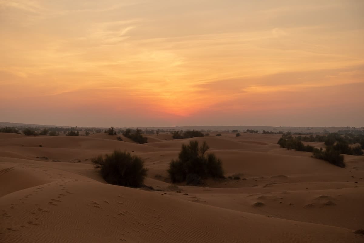 al maha activites coucher 07