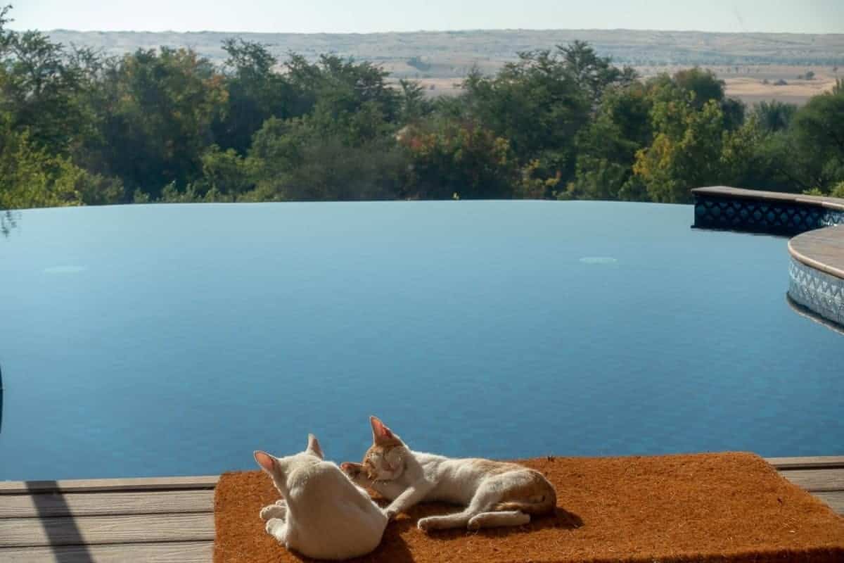 Avis&nbsp;: Al Maha, a Luxury Collection Desert Resort & Spa, Dubai - al maha bedouin suite 25