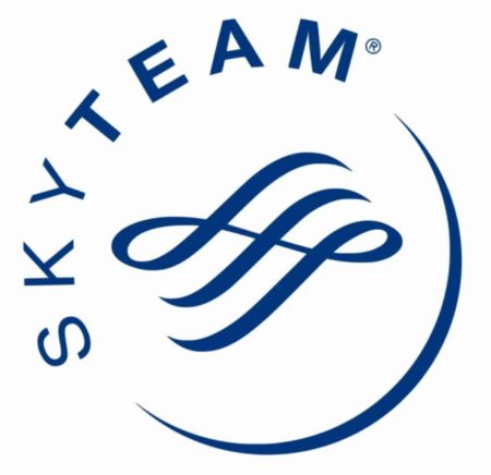 logo skyteam 1 1
