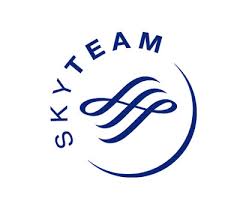 skyteam small logo