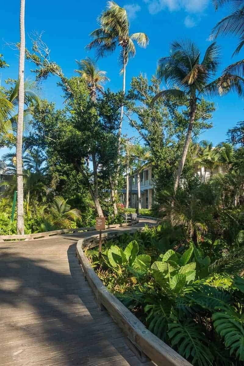 the st regis bahia beach resort puerto rico 196