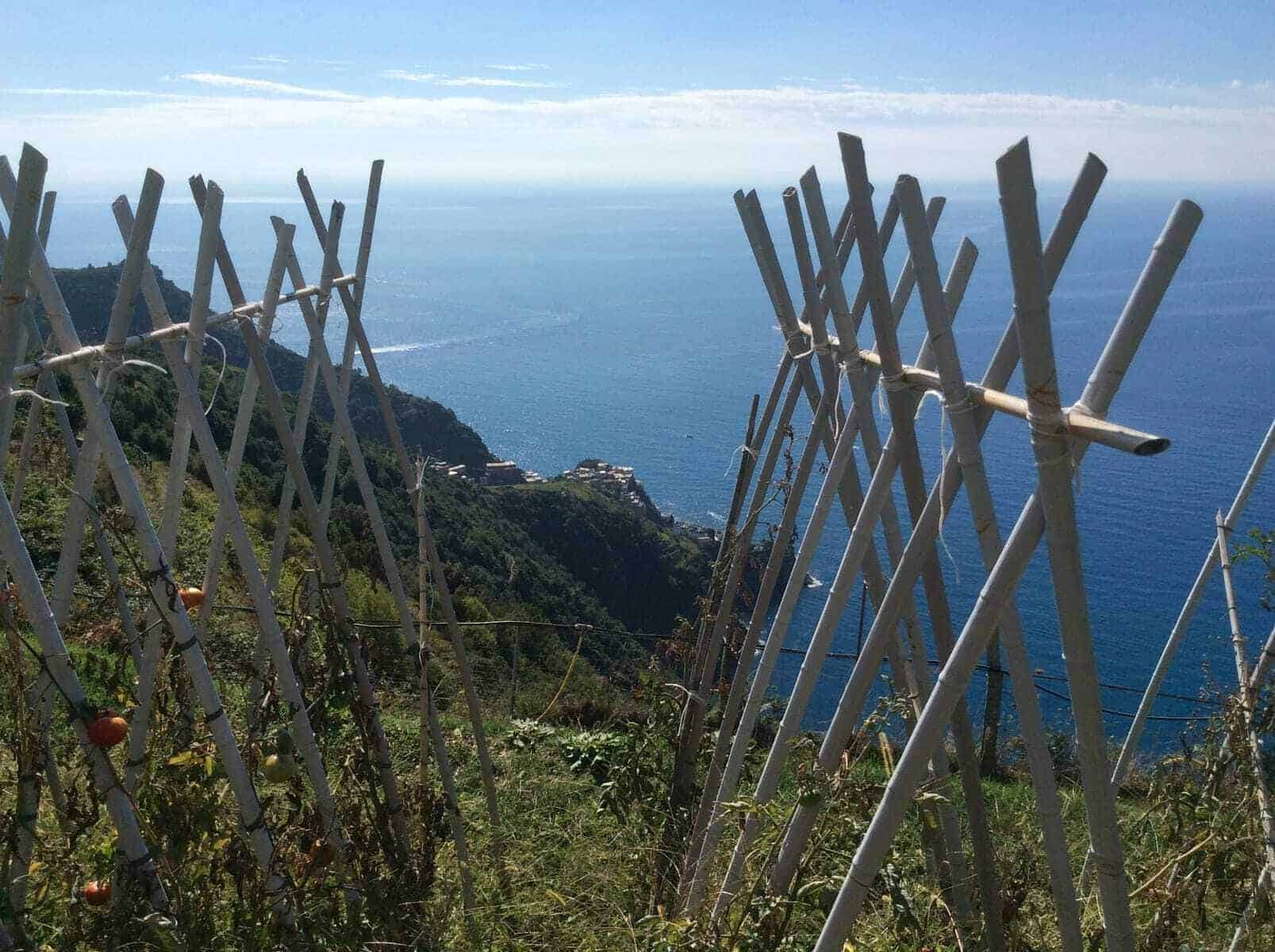 Italie&nbsp;: un week-end aux villages de Cinque Terre - corniglia croisillons