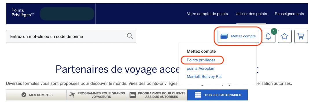 AMEX Tutorial: How to Transfer American Express Membership Rewards Points - Put Amex Account