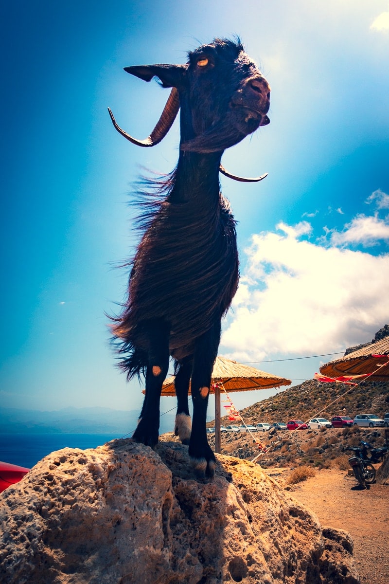 Greece: Travel Guide to Crete | Itineraries and Highlights - Crète 30
