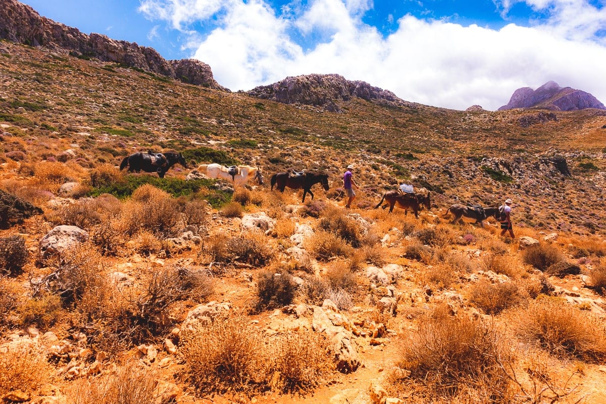 Greece: Travel Guide to Crete | Itineraries and Highlights - Crète 36
