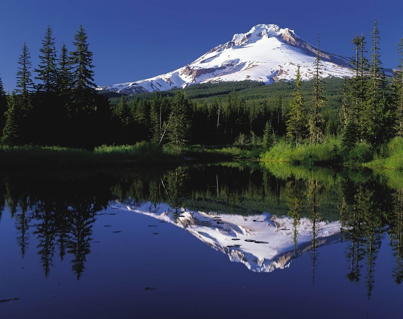 Discovering Portland, Oregon - mount hood 72366 1280