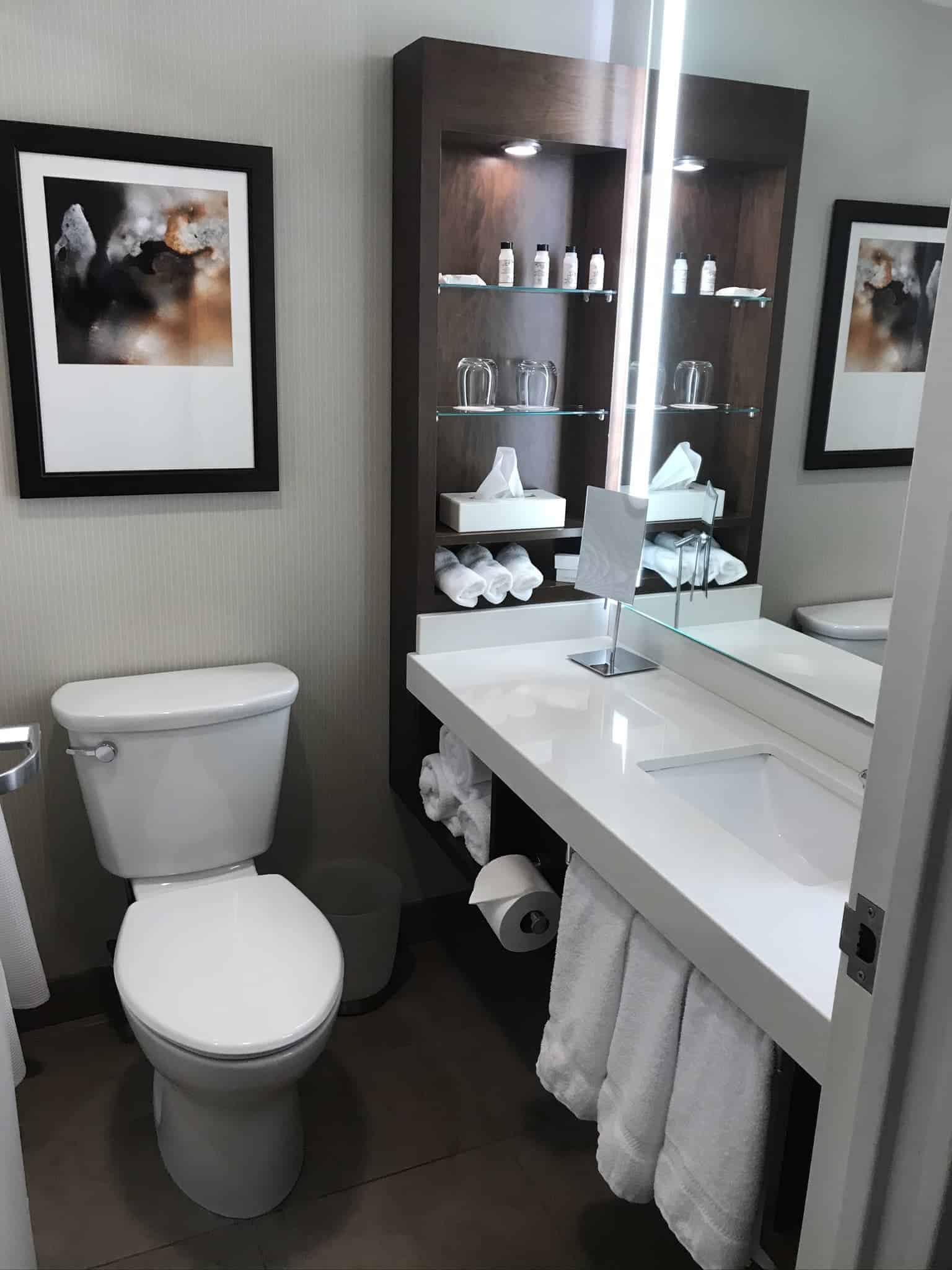Avis&nbsp;: Delta Hotels Ottawa City Centre | Marriott Bonvoy - Salle de bain