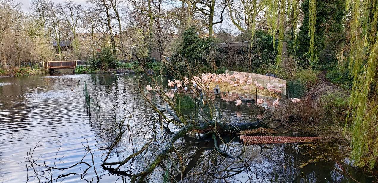 A weekend in Amsterdam - Artis Zoo