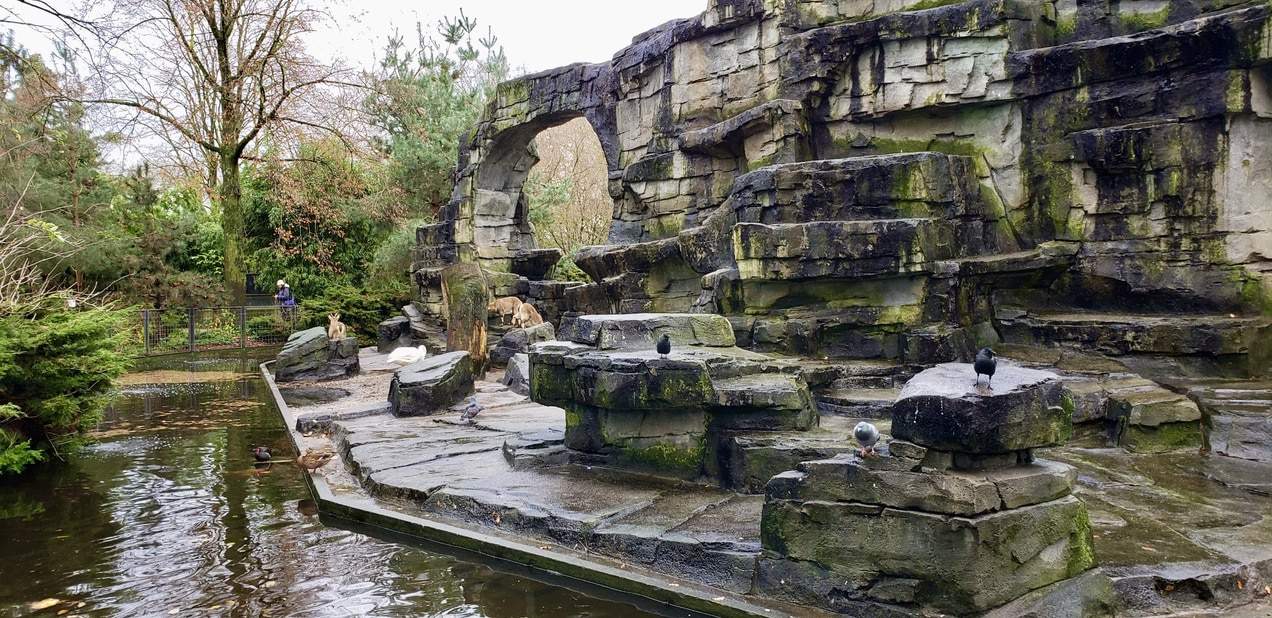 A weekend in Amsterdam - Artis Zoo