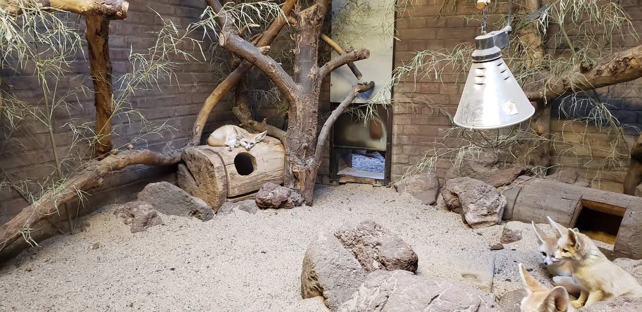 A weekend in Amsterdam - Artis Zoo
