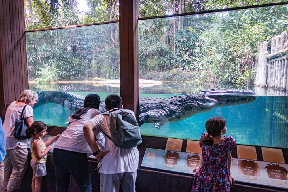 semaine – singapour zoo