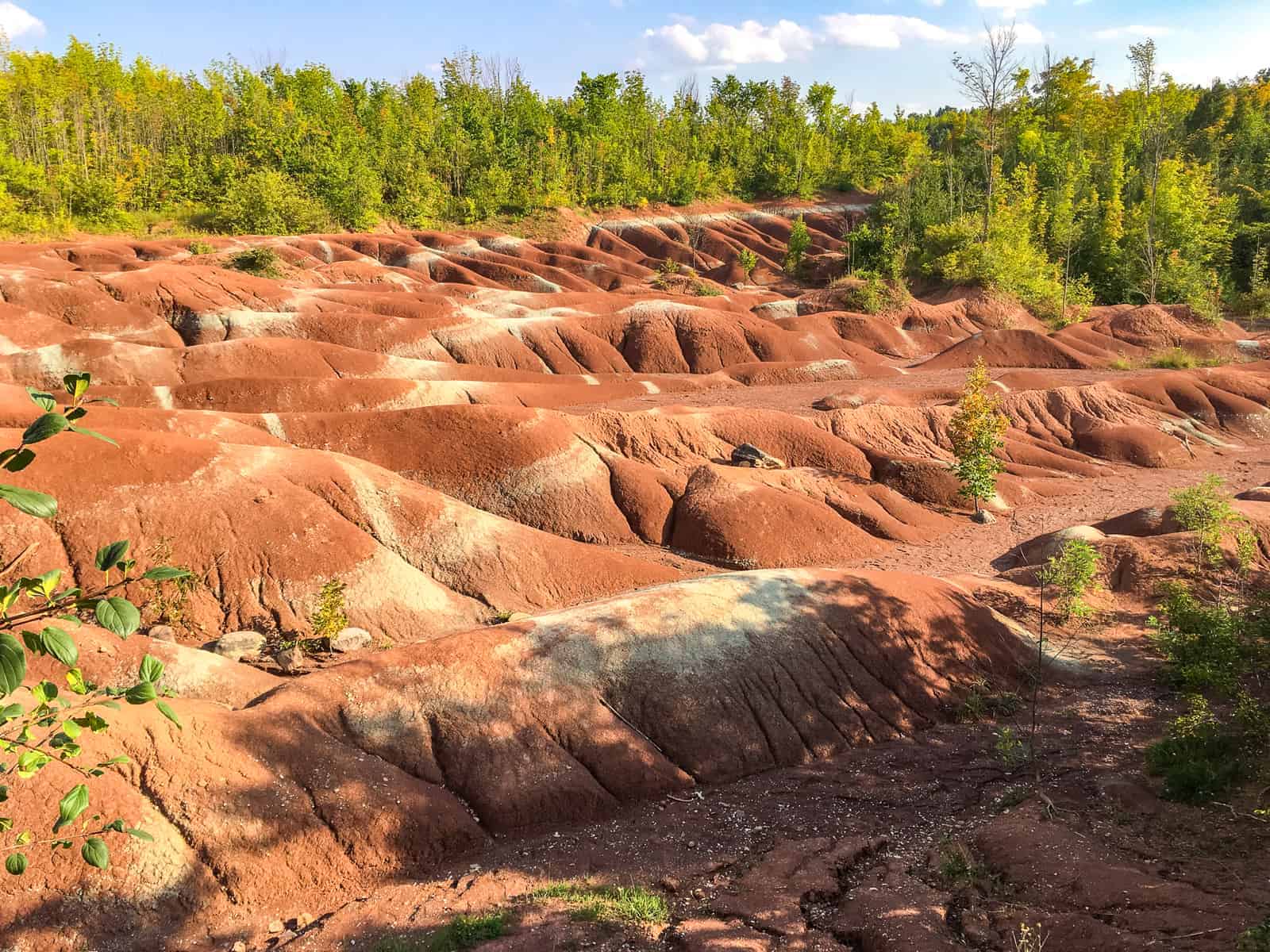Canada: Ontario Travel Guide | Itineraries and Highlights - cheltenham