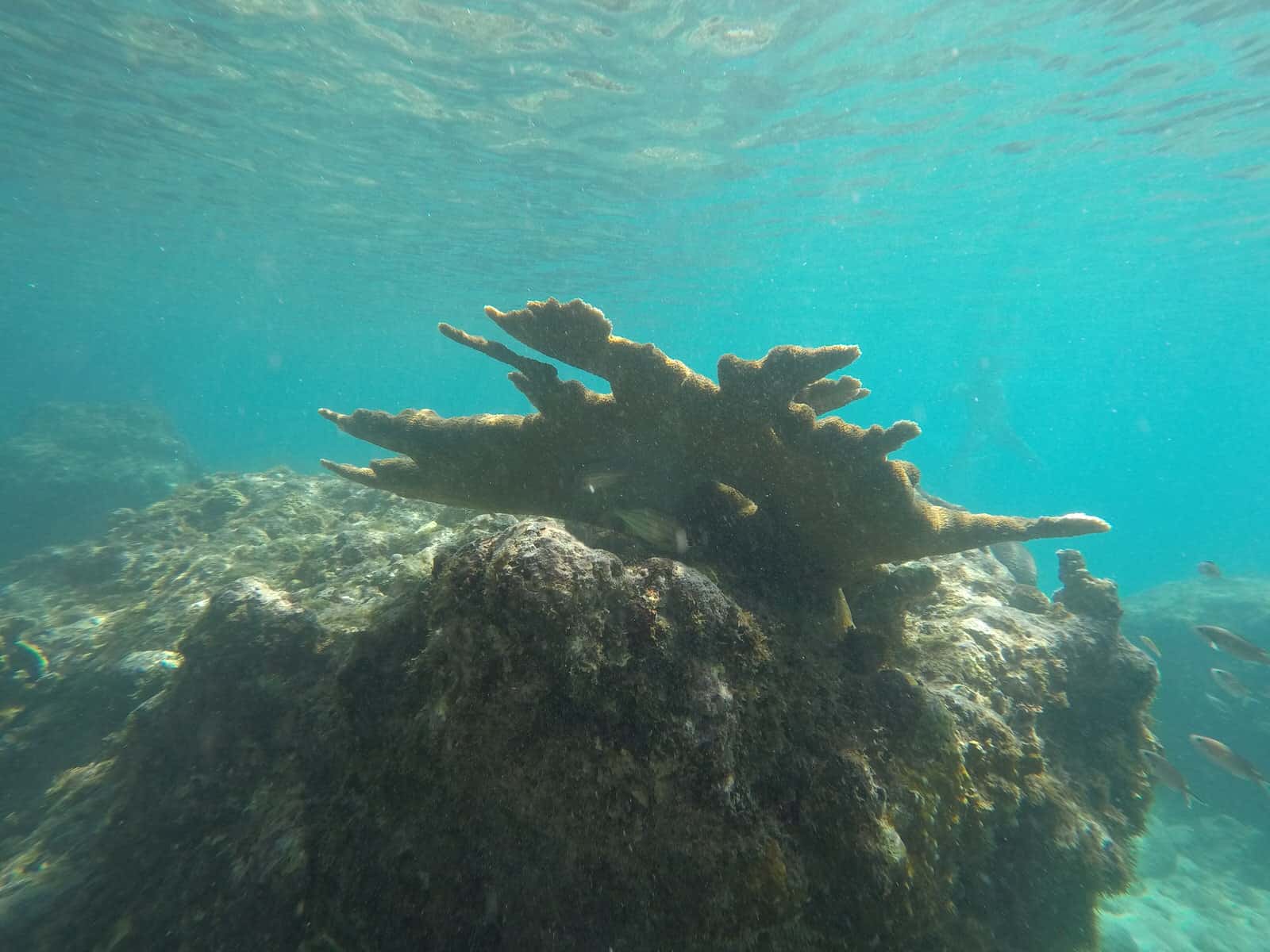 Curaçao&nbsp;: Guide de voyage | Itinéraires et Incontournables - Curacao