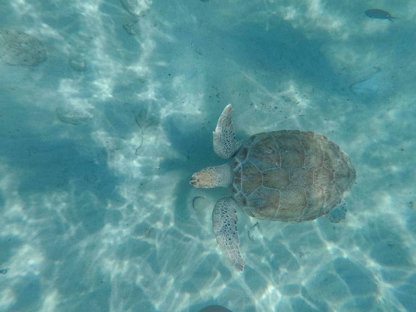 Curaçao&nbsp;: Guide de voyage | Itinéraires et Incontournables - Curacao