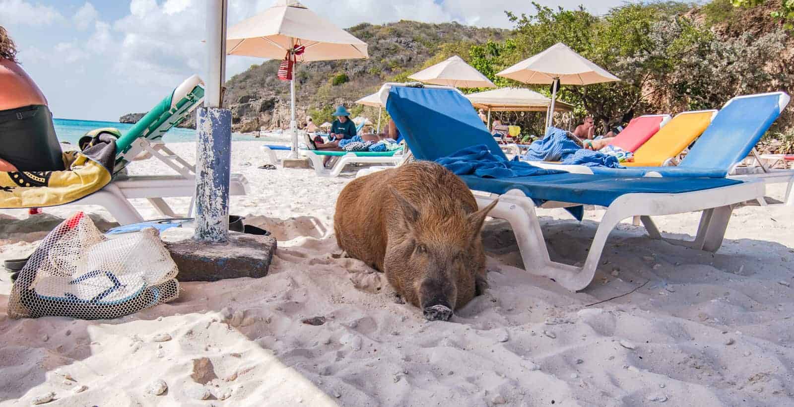 Curaçao&nbsp;: Guide de voyage | Itinéraires et Incontournables - Curacao