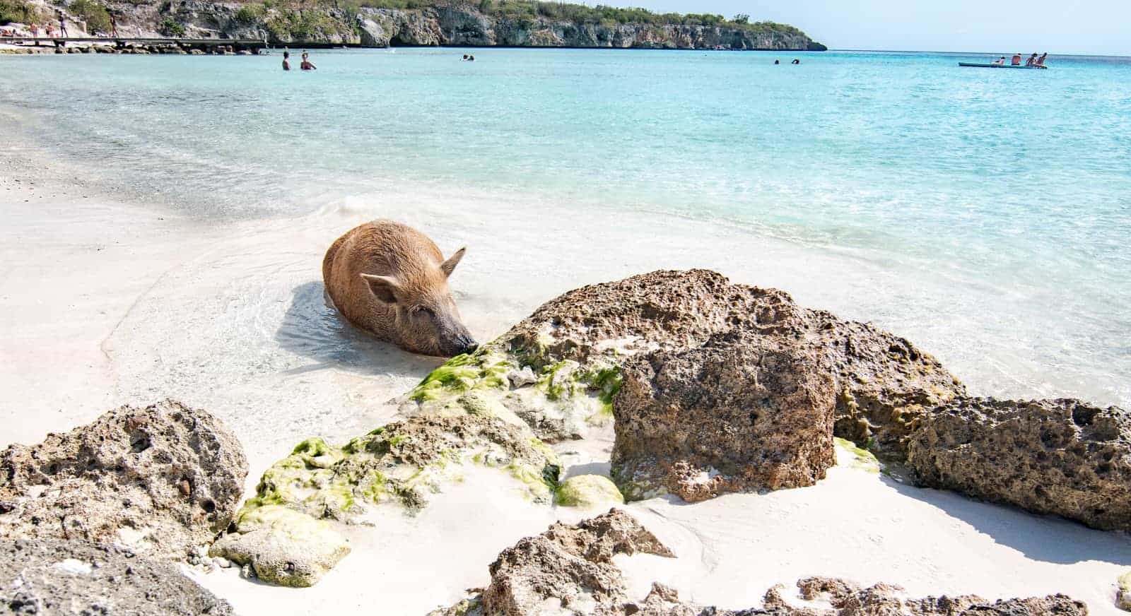 Curaçao&nbsp;: Guide de voyage | Itinéraires et Incontournables - Curacao