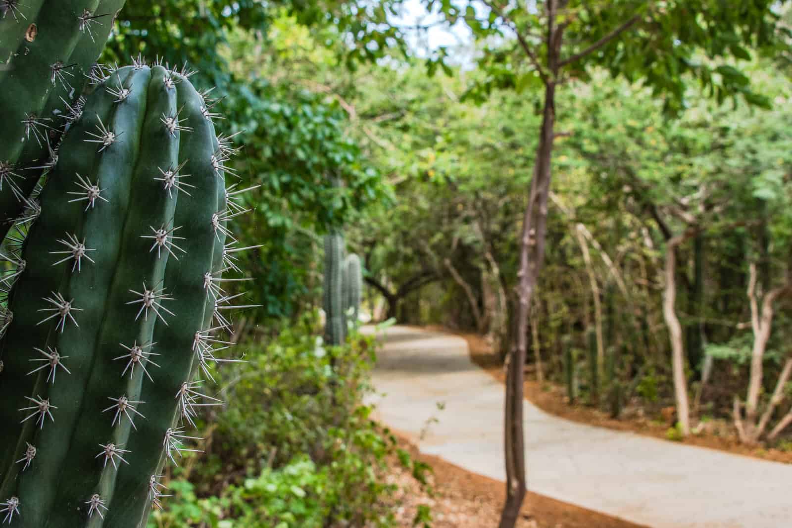 Curaçao&nbsp;: Guide de voyage | Itinéraires et Incontournables - Curacao