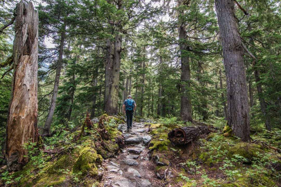 Canada: Itinerary and Budget for a 6-day Trip to Western Canada - ouestcanadien--------