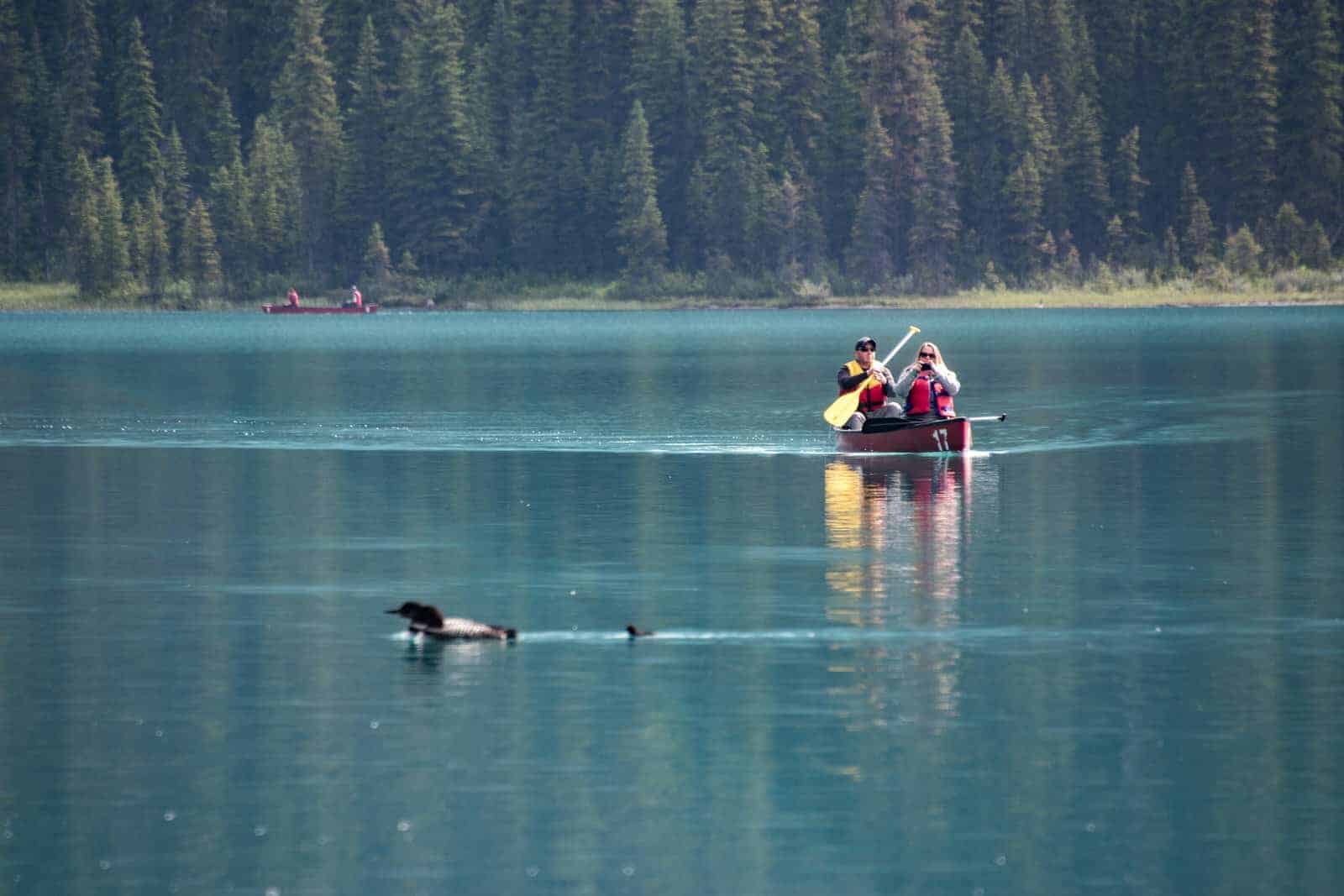Canada: Itinerary and Budget for a 6-day Trip to Western Canada - ouestcanadien--------