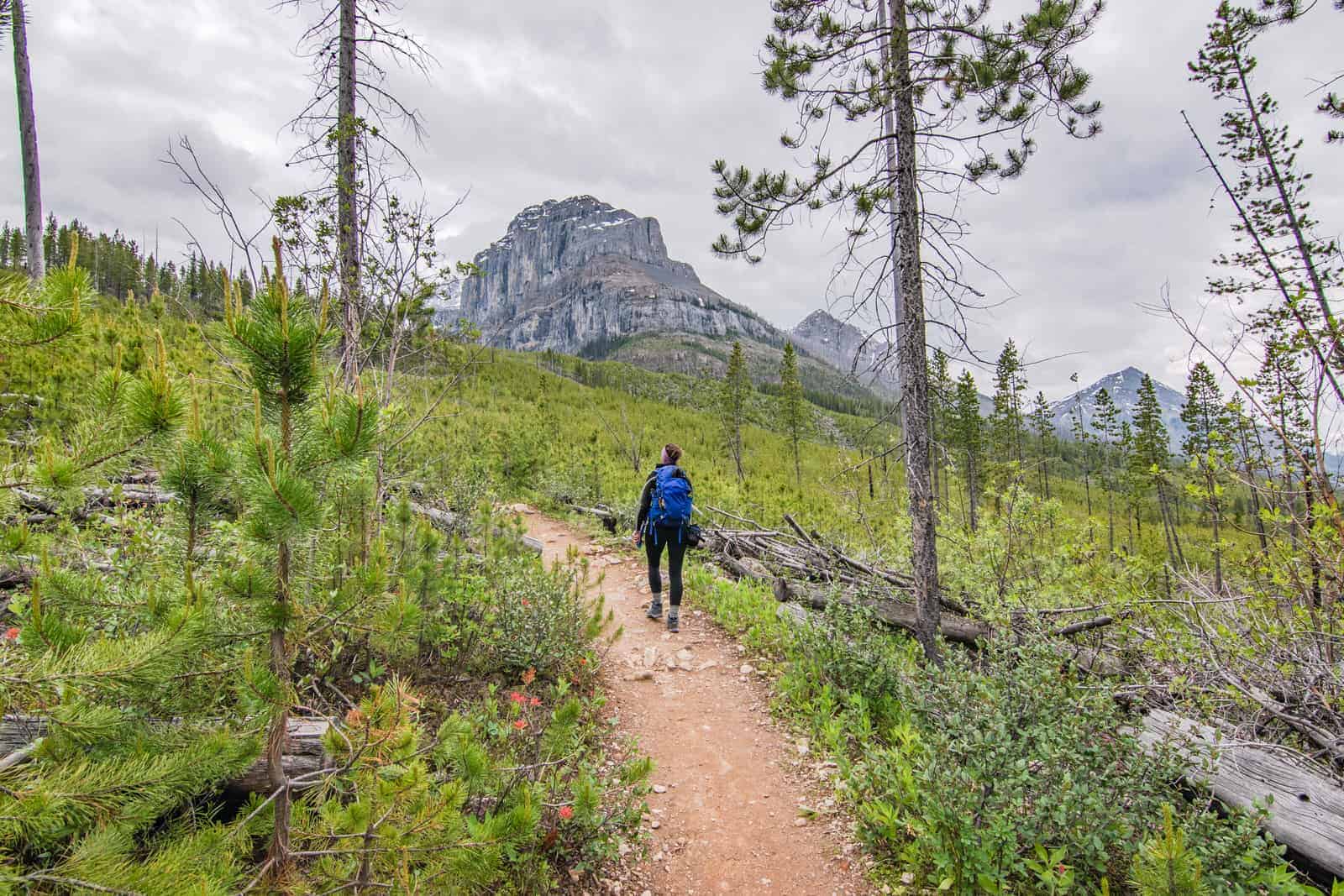 Canada: Itinerary and Budget for a 6-day Trip to Western Canada - ouestcanadien--------