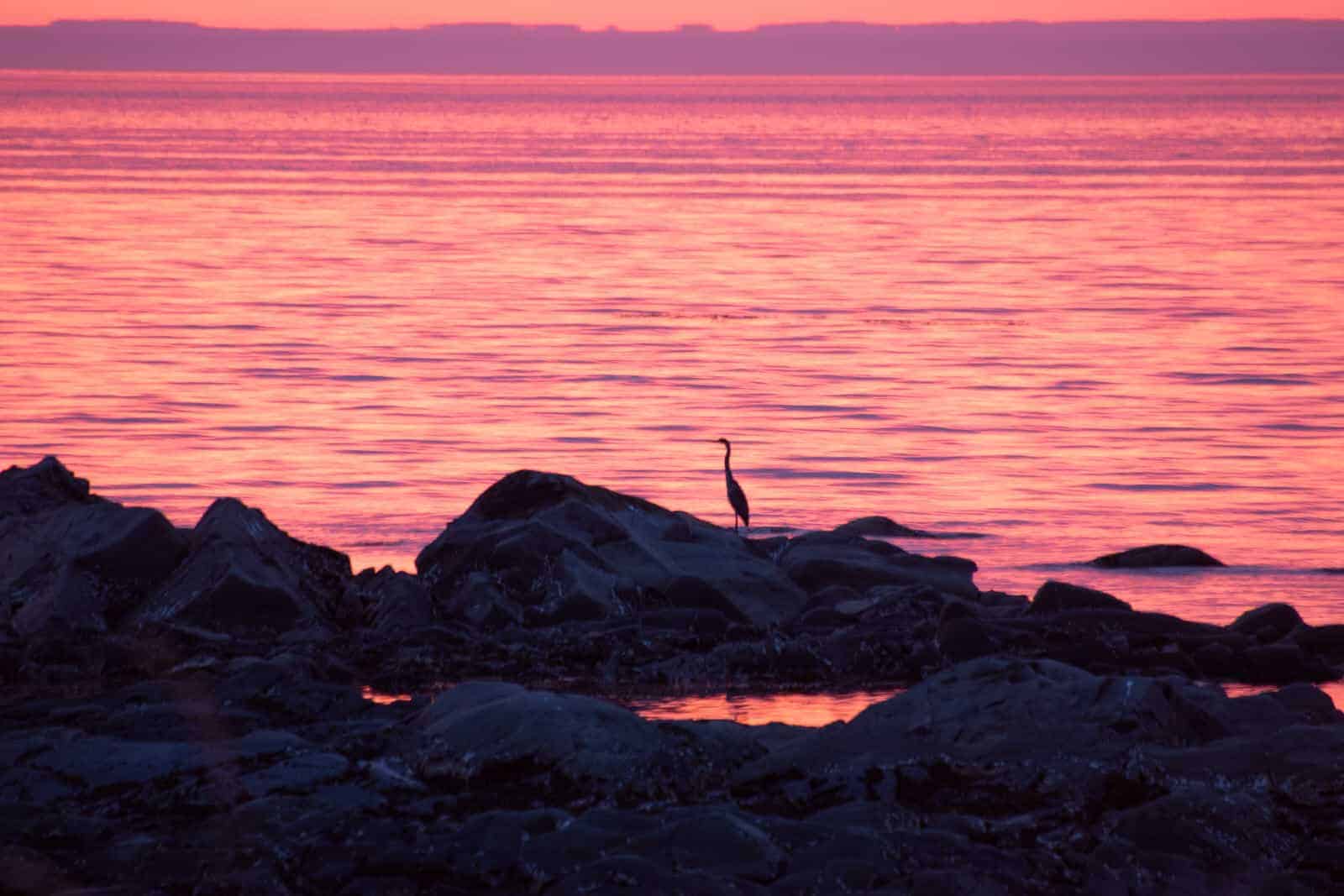 Travel in Canada: Gaspésie - gaspesie---