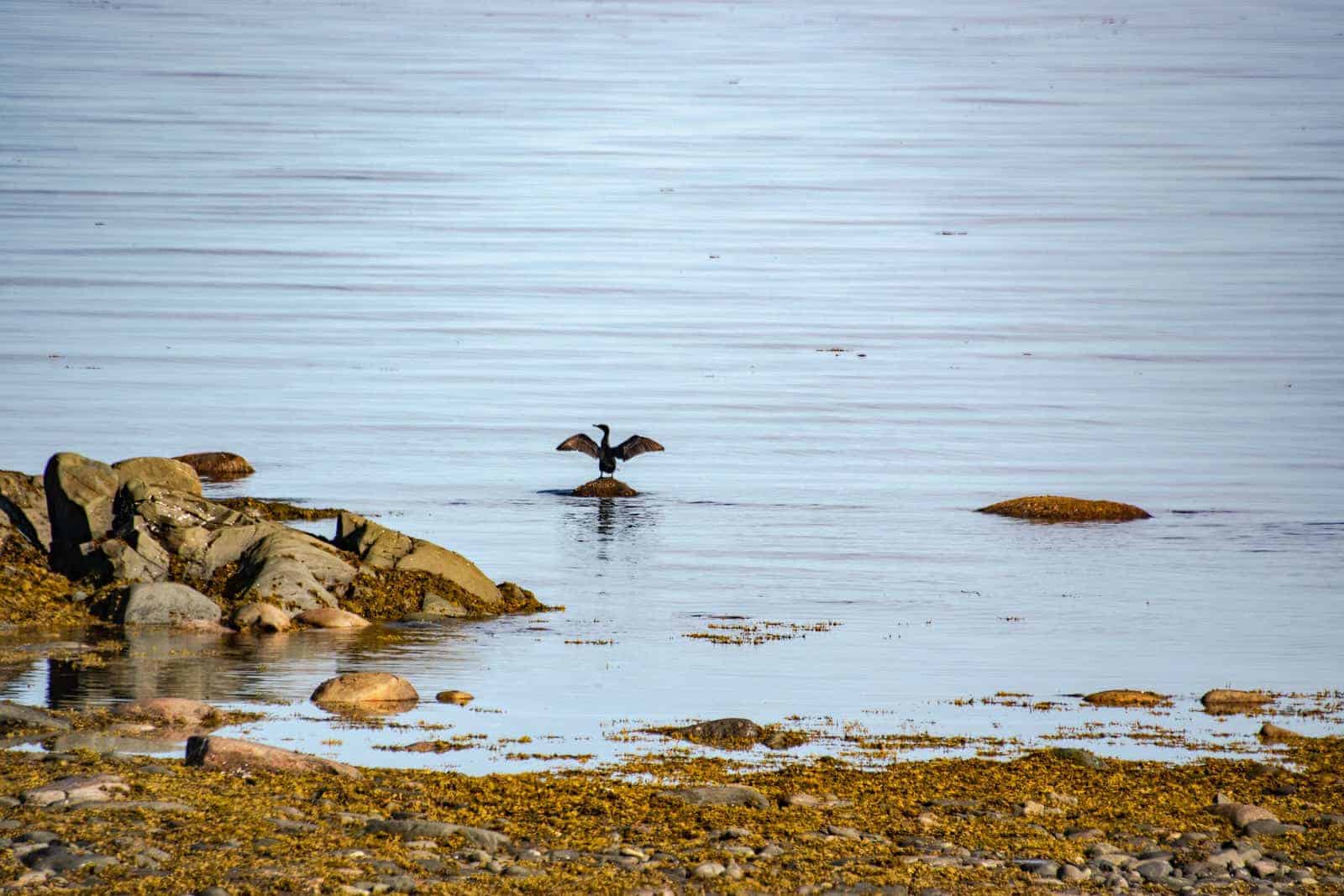 Travel in Canada: Gaspésie - gaspesie---