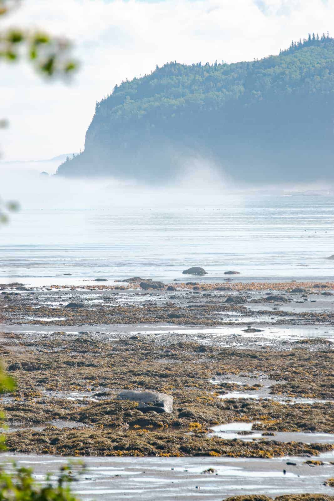 Travel in Canada: Gaspésie - gaspesie--