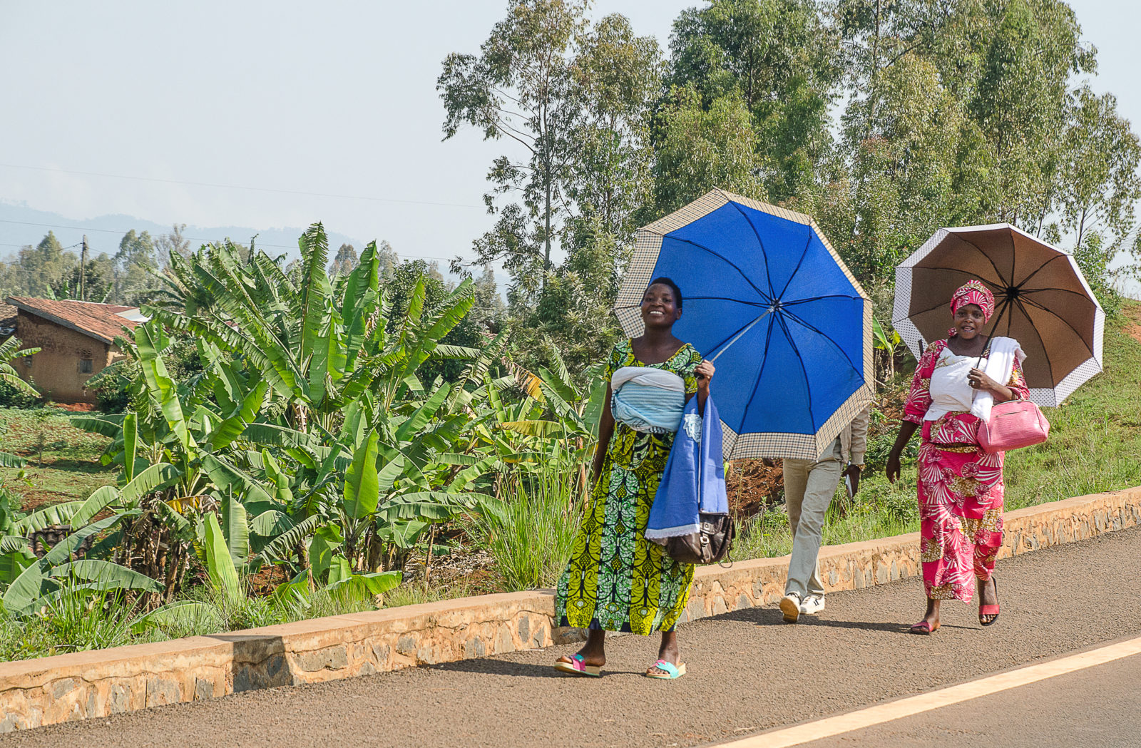 Rwanda&nbsp;: À la recherche des gorilles de montagne au Rwanda - Ac0 6145