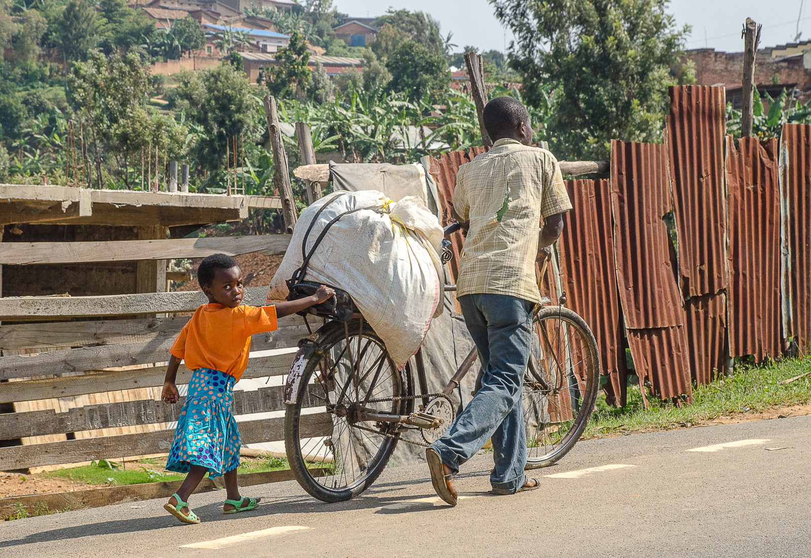 Rwanda&nbsp;: À la recherche des gorilles de montagne au Rwanda - Ac0 6147
