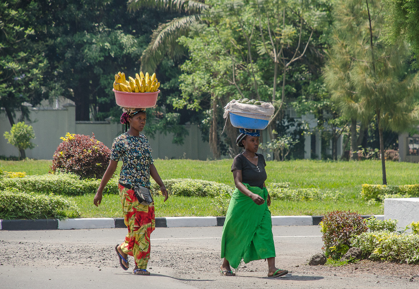 Rwanda&nbsp;: À la recherche des gorilles de montagne au Rwanda - Ac0 6504