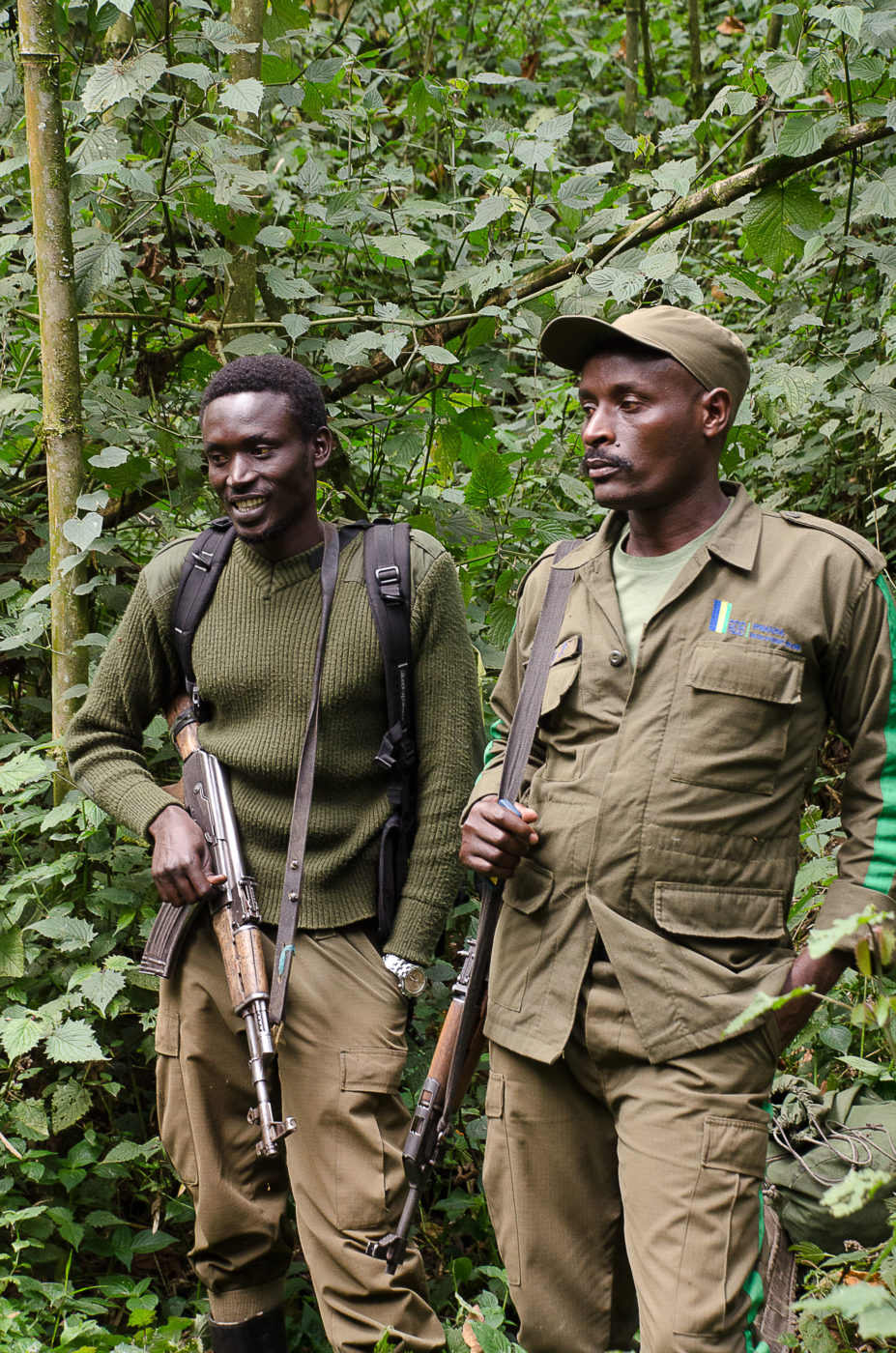 Rwanda&nbsp;: À la recherche des gorilles de montagne au Rwanda - Ac0 6814