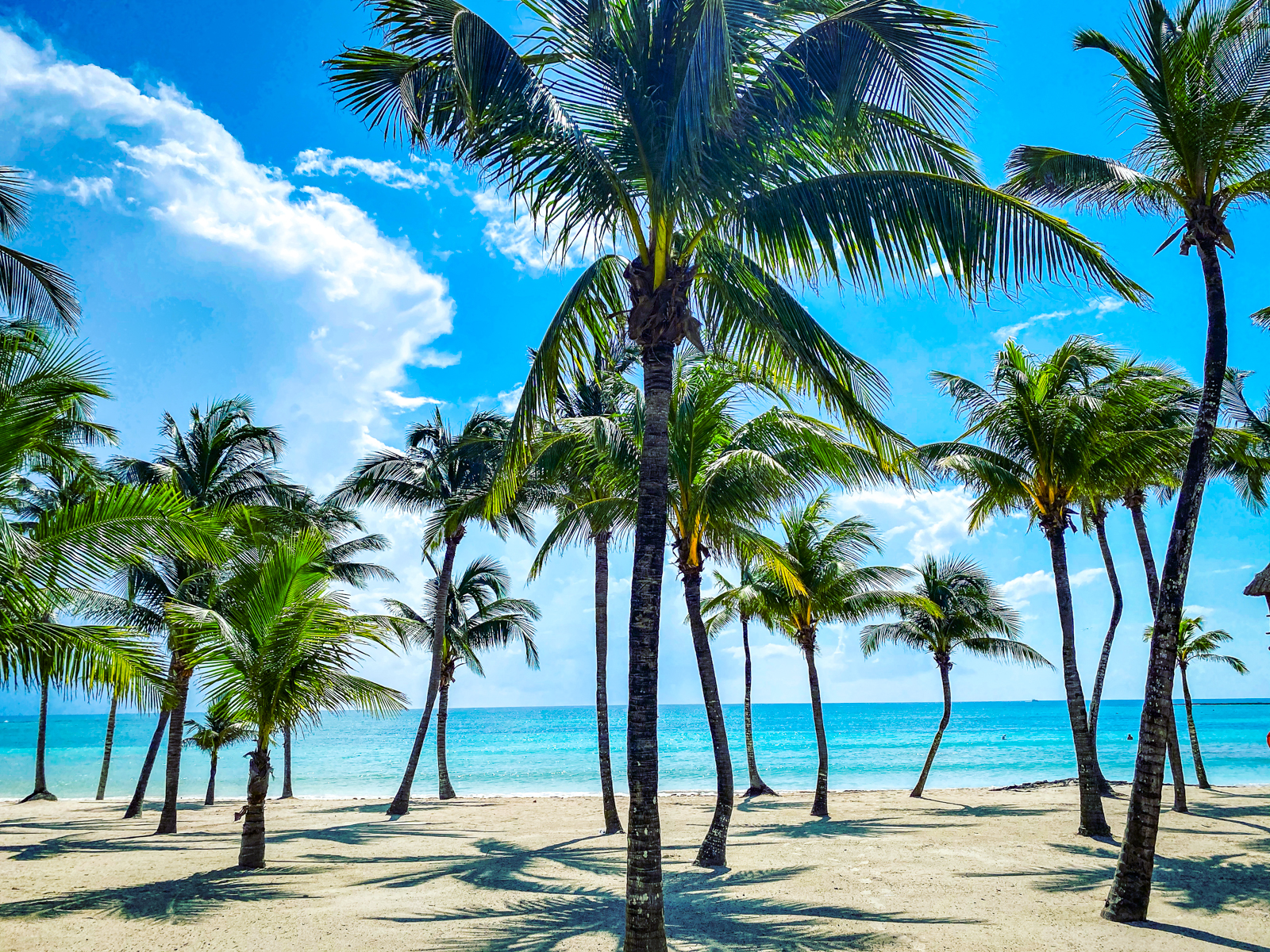 The South in times of COVID-19 - An account of an all-inclusive stay - Barcelo Maya Riviera 09