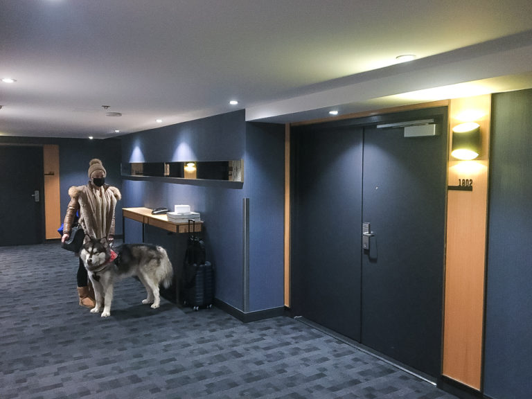 Avis Hôtel Pur, Québec, a Tribute Portfolio Hotel Marriott Bonvoy