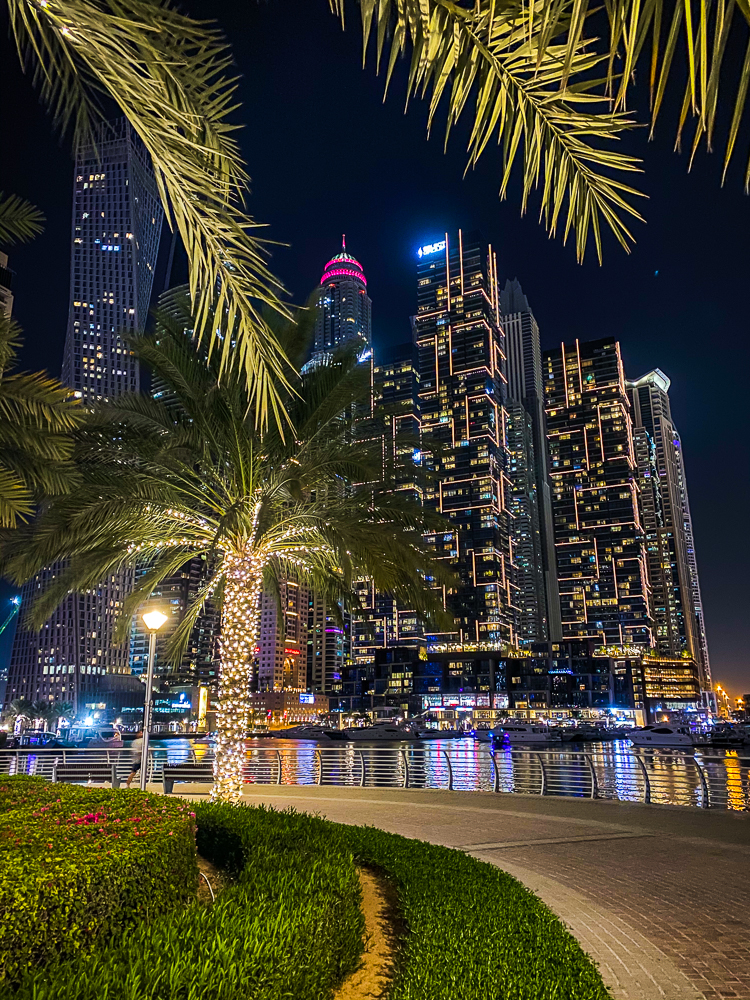 Émirats arabes unis&nbsp;: les activités incontournables à faire à Dubaï - La Ville De Dubai La Marina016