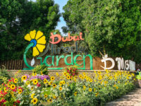 La Ville De Dubai Miracle Garden39