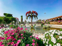 La Ville De Dubai Miracle Garden40