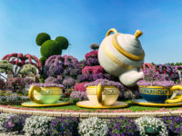 La Ville De Dubai Miracle Garden42