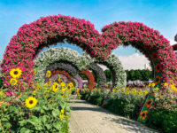 La Ville De Dubai Miracle Garden45