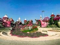 La Ville De Dubai Miracle Garden47