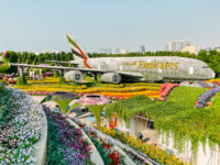 La Ville De Dubai Miracle Garden48