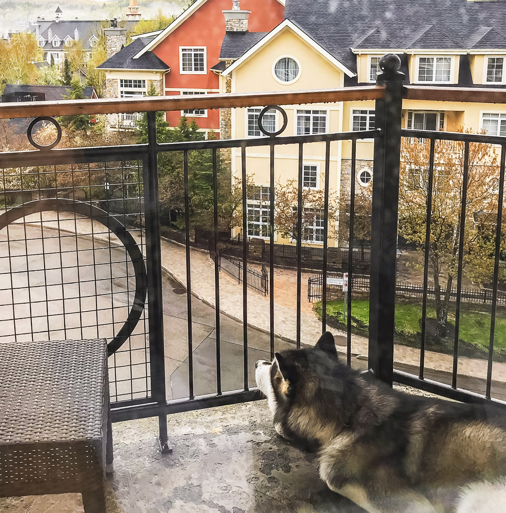 Review&nbsp;: The Westin Resort & Spa, Tremblant, Quebec | Marriott Bonvoy - 36