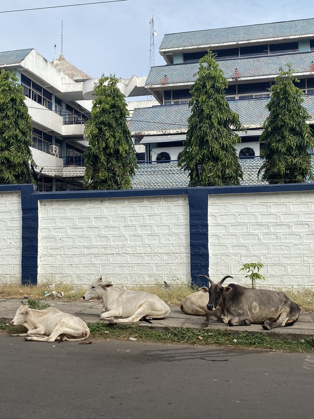 From Dubai to Singapore - A 17-day cruise story - India 1