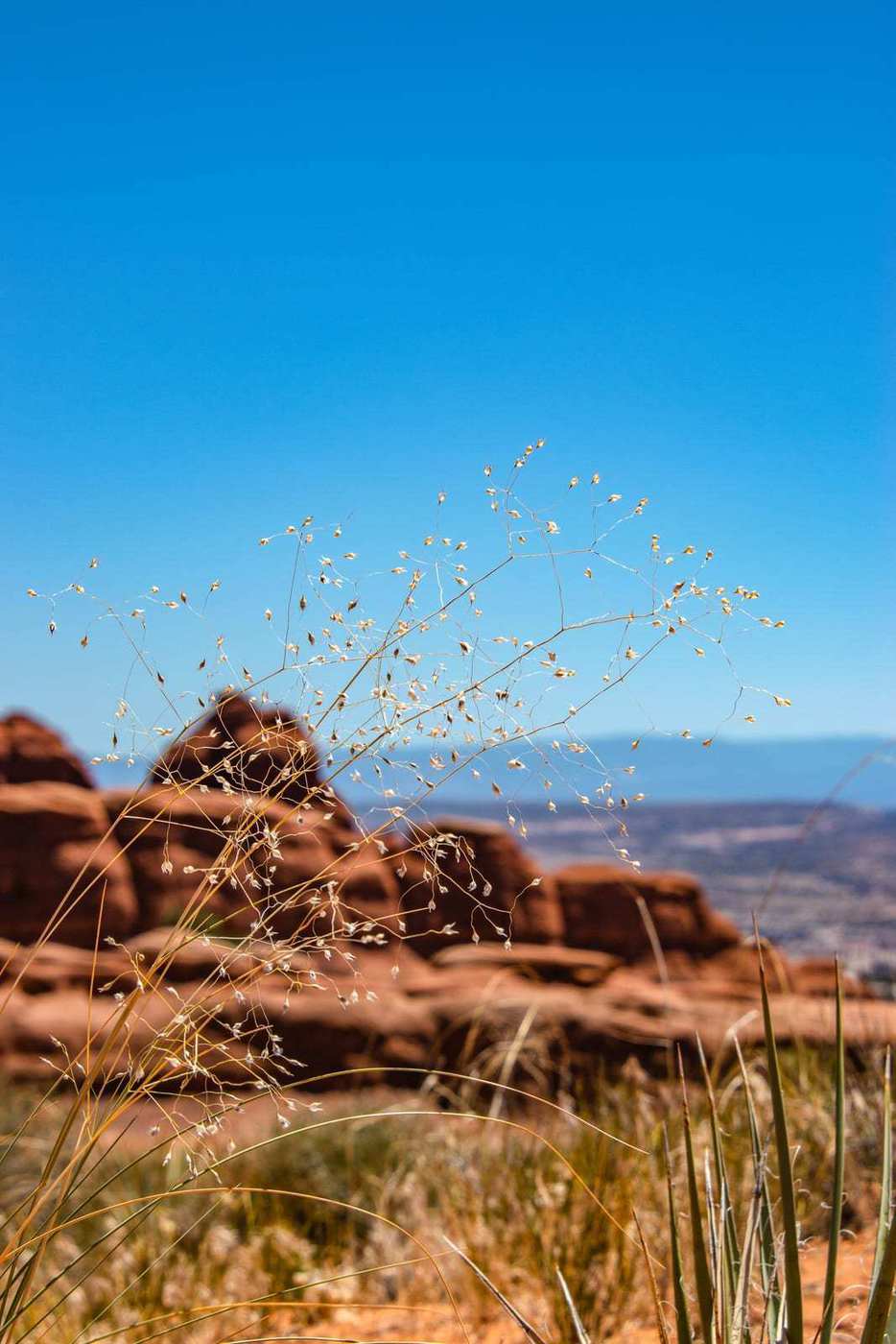 United States&nbsp;: Travel Guide to the American West | Itineraries and Highlights - ouest-americain----