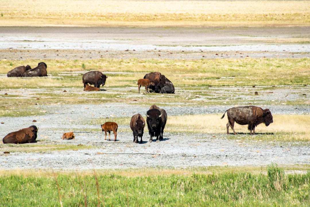 United States&nbsp;: Travel Guide to the American West | Itineraries and Highlights - ouest-americain----