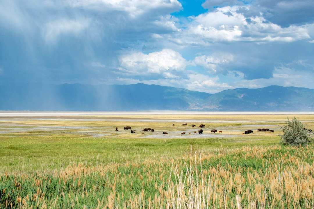 United States&nbsp;: Travel Guide to the American West | Itineraries and Highlights - ouest-americain----