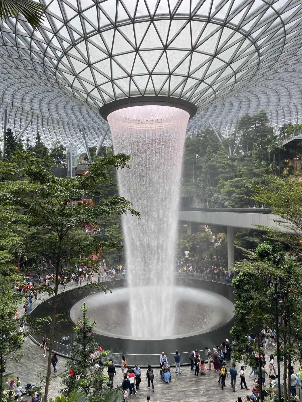 From Dubai to Singapore - A 17-day cruise story - Singapore 3