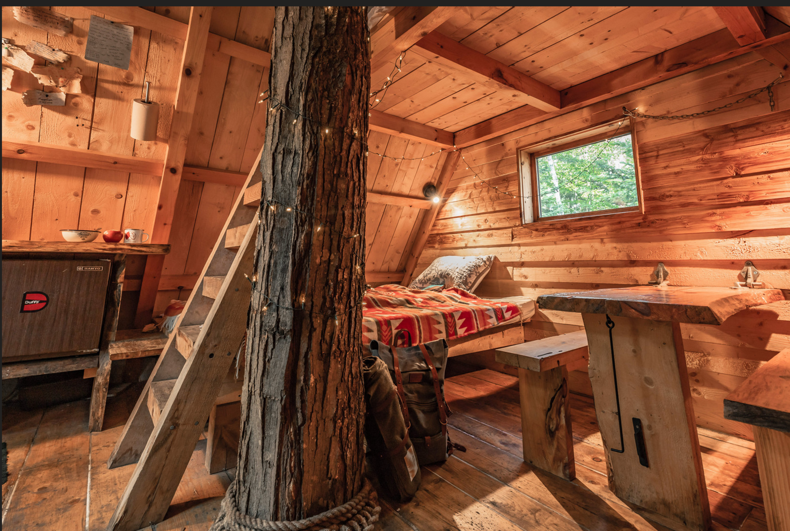 Canada: unusual accommodations in Quebec - Cabane dans les arbres