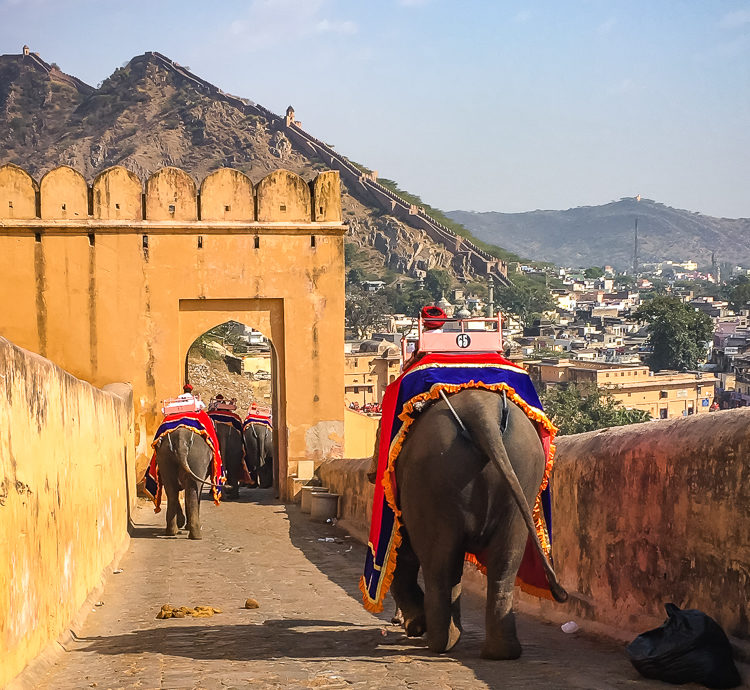 Fort d'Amber - Jaipur