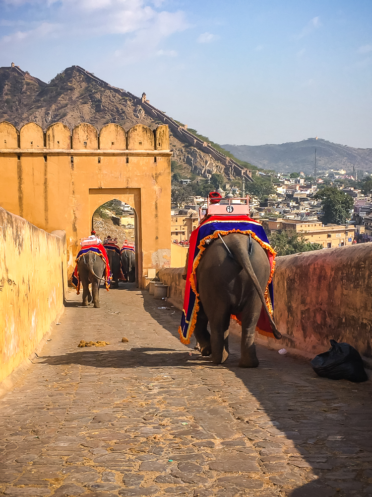 Inde&nbsp;: Guide de voyage en Inde du Nord | Itinéraires et Incontournables - Jaipur Fort Damber